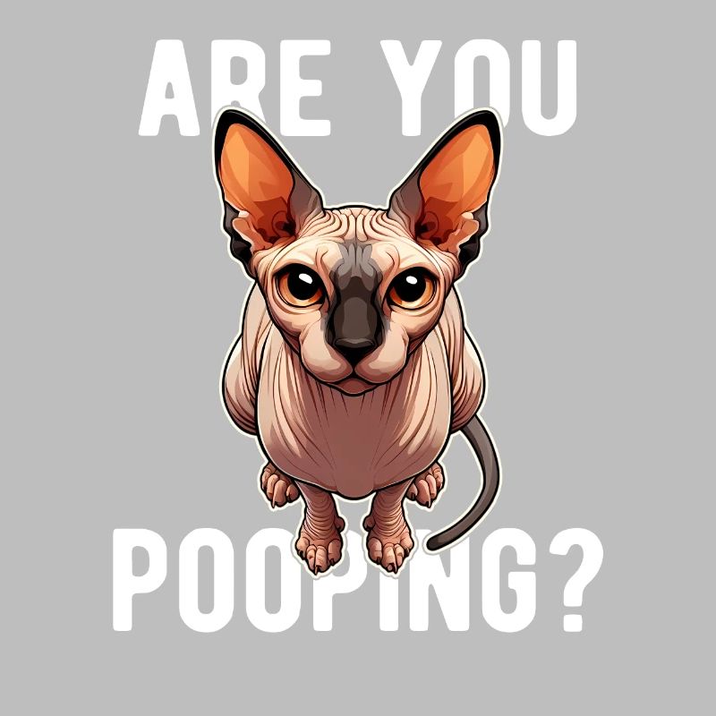 Est-ce que tu fais caca ? Drôle de chat Sphynx
