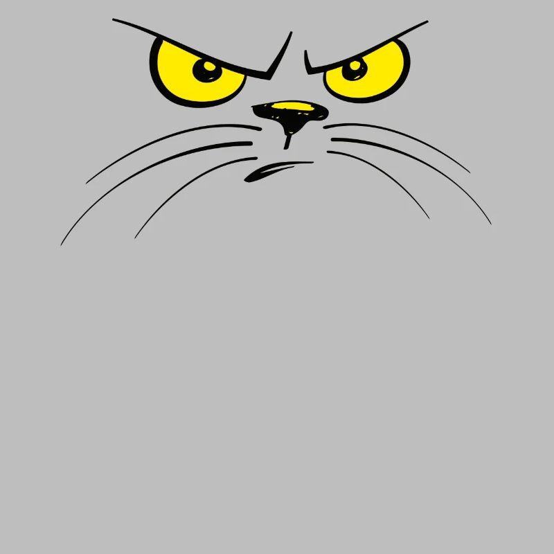chat chat visage de chat mal