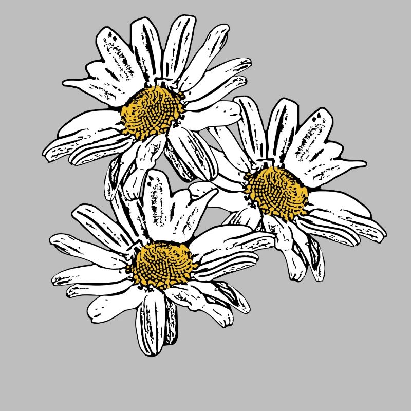 Fleur Fleur Blanche Fleurs Blanches Fleurs Blanches