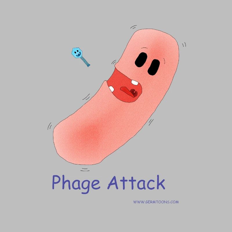 Attaque du phage - Bactéries et bactériophages