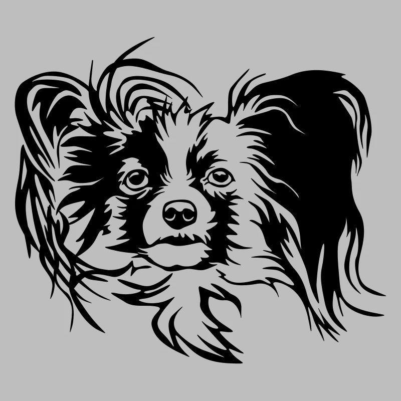 Papillon Kopf