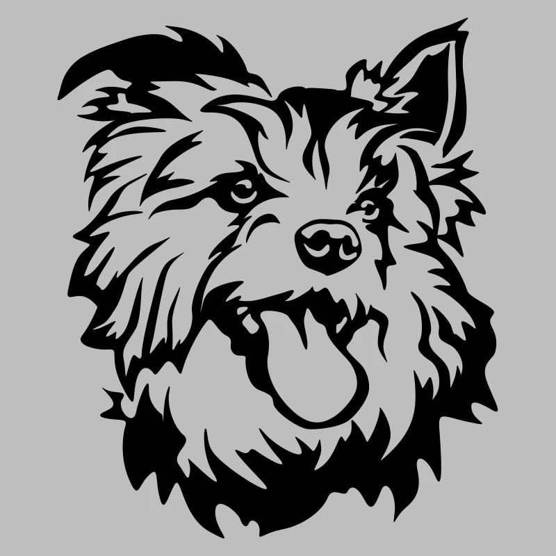 Australian Terrier Kopf