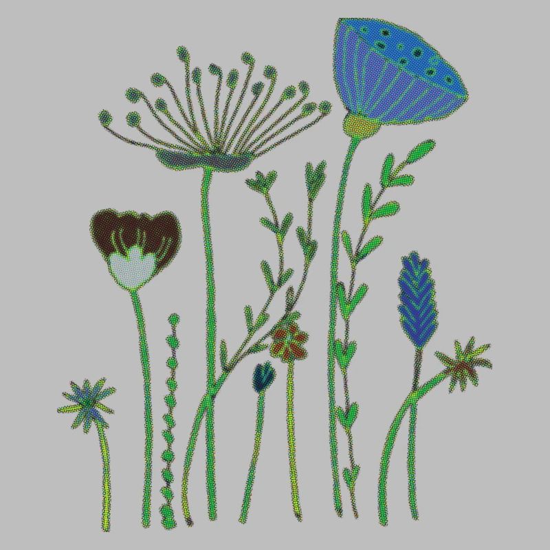 Fleurs séchées demi-tons