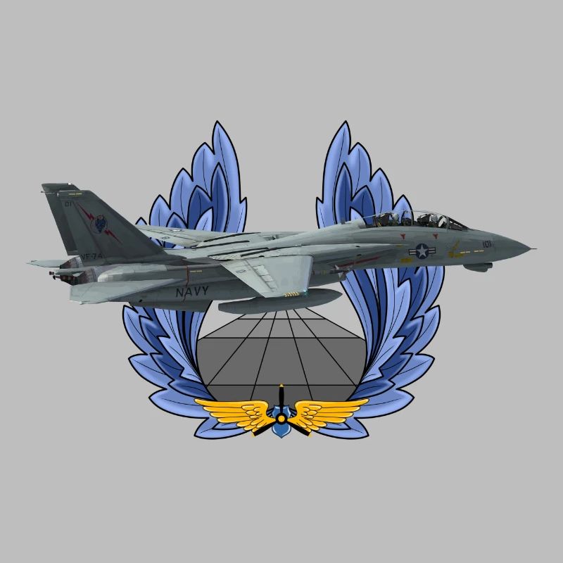 F-14 Tomcat