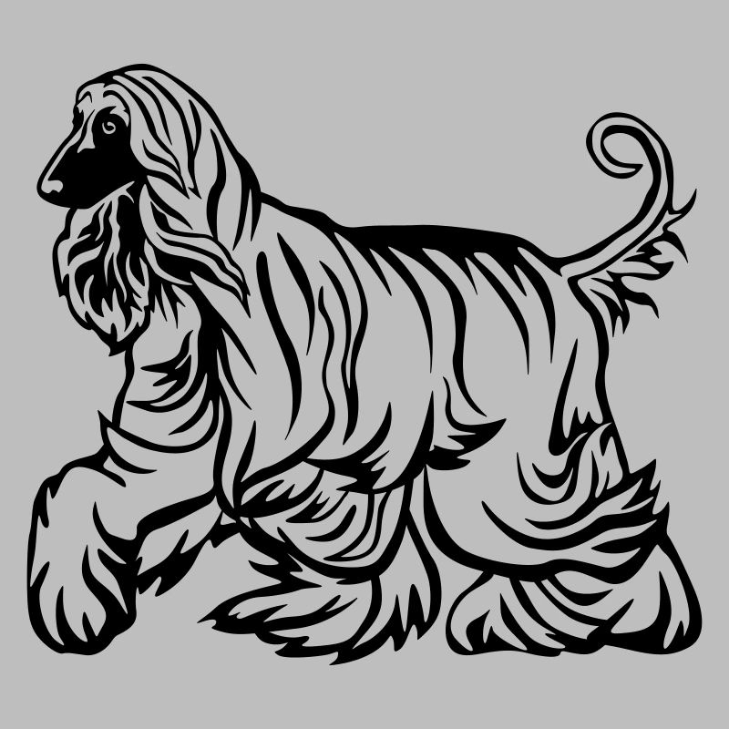 Afghane