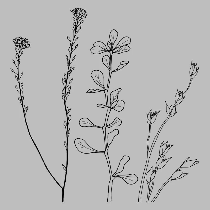 Art au trait floral