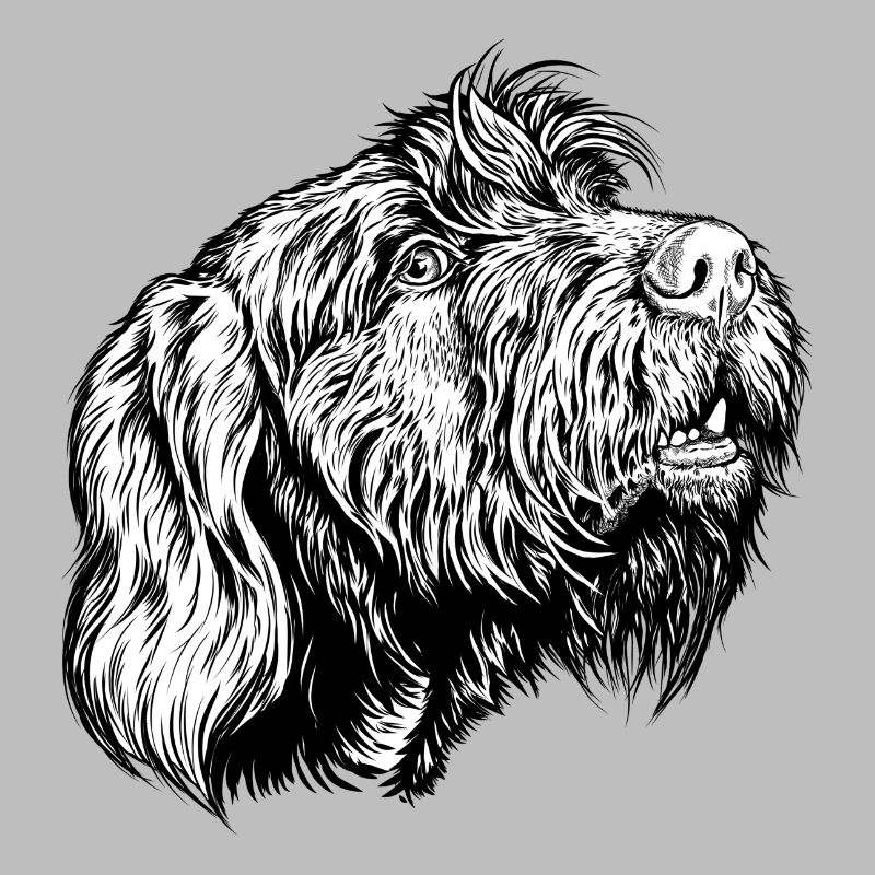 Pudelpointer redet mit