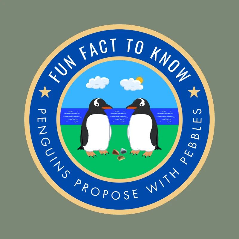 Penguins propose with pebbles