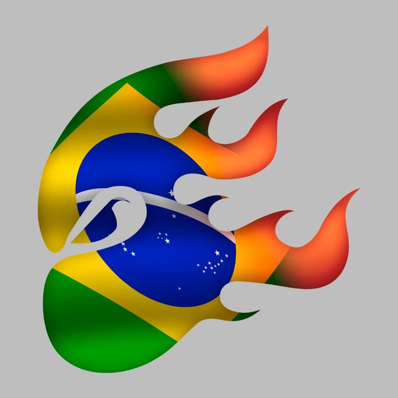 Drapeau du Brésil - Brésil - Ninja