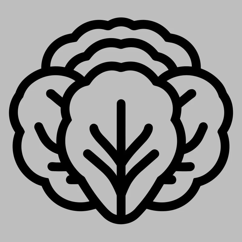 cabbage