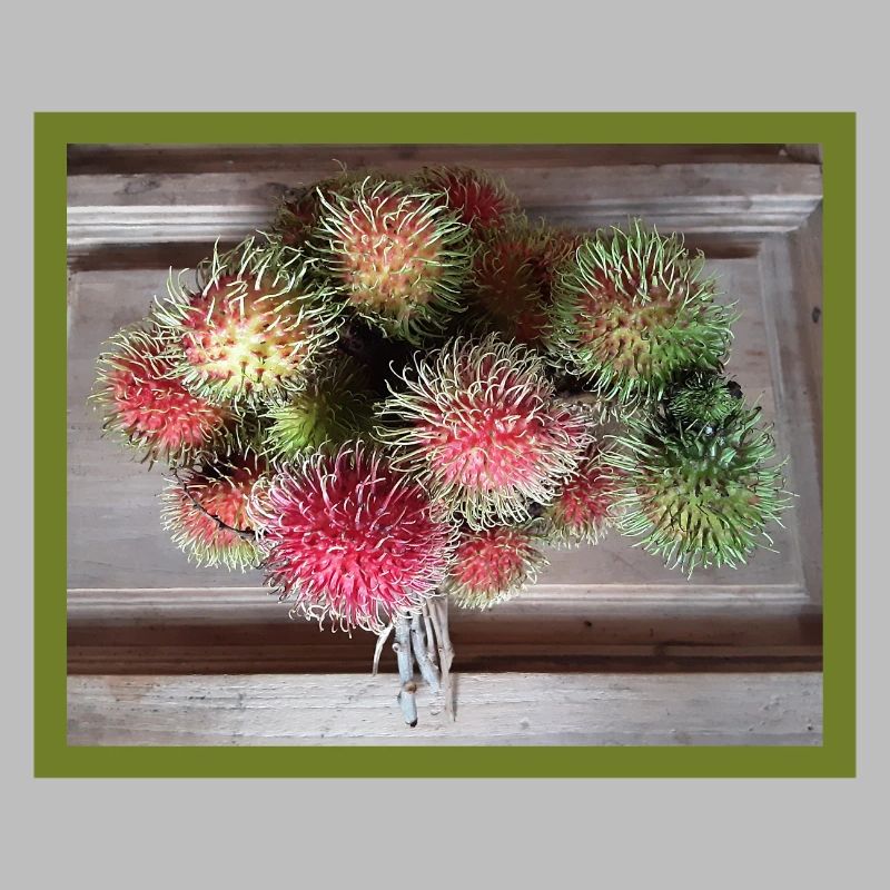Lychee fruit