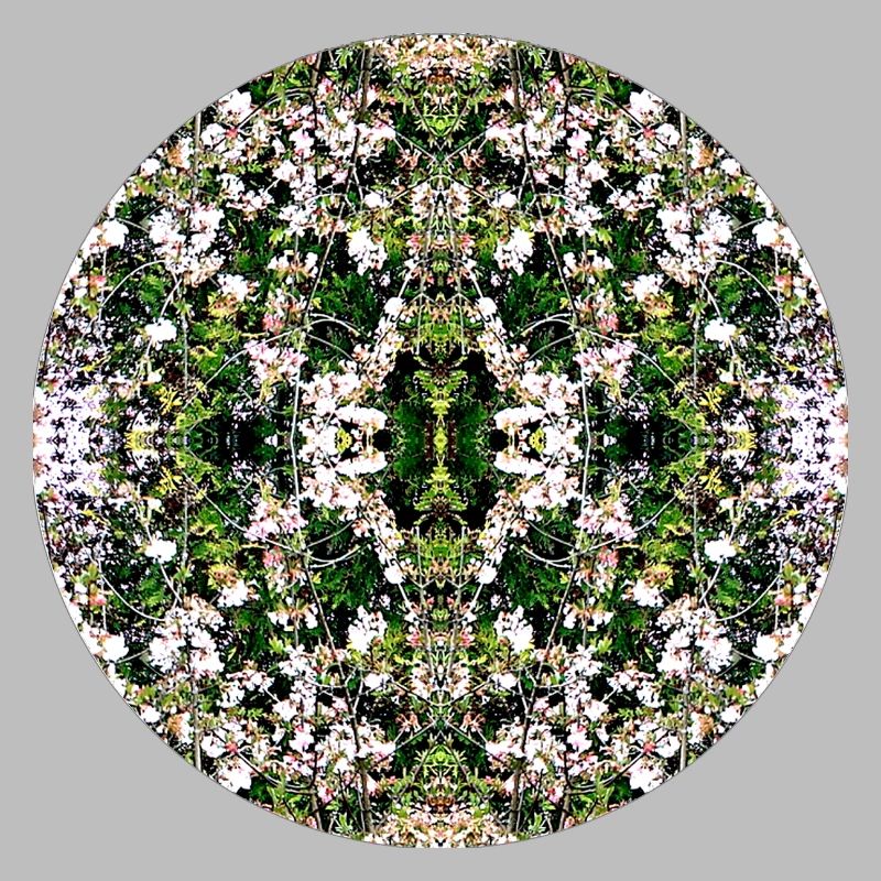 Source du Mandala de la Nature à Nuremberg