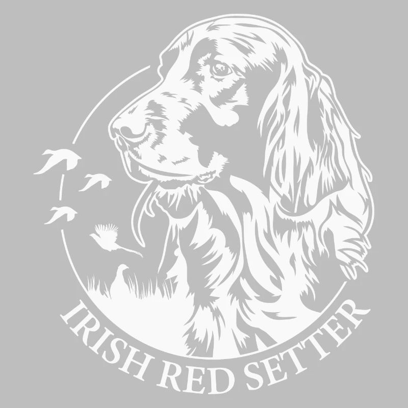 Irish Red Setter Jagdhund Jagdhunde Hunde Wilsigns