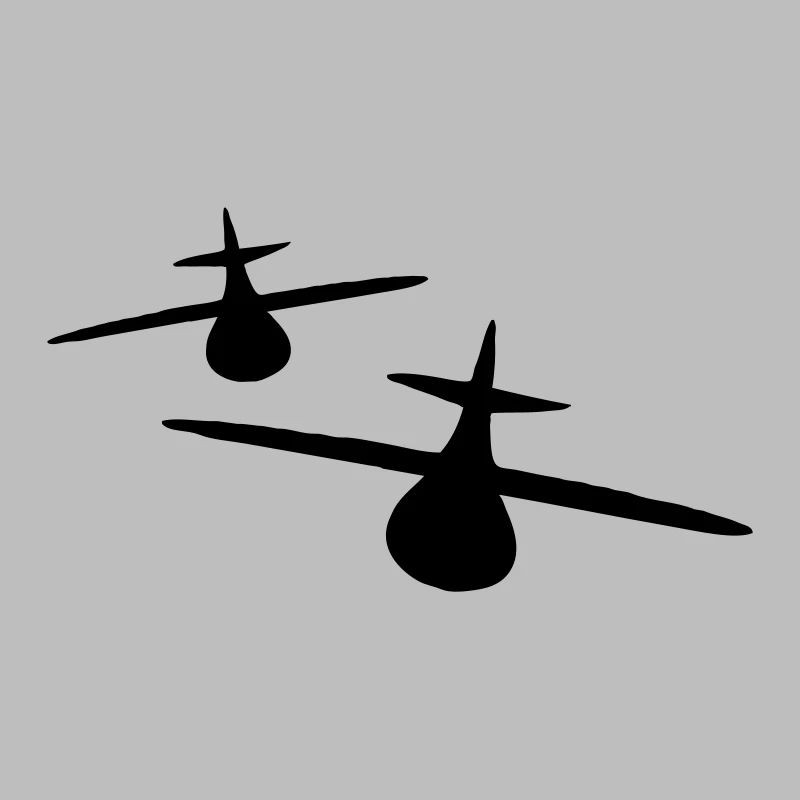 Deux avions