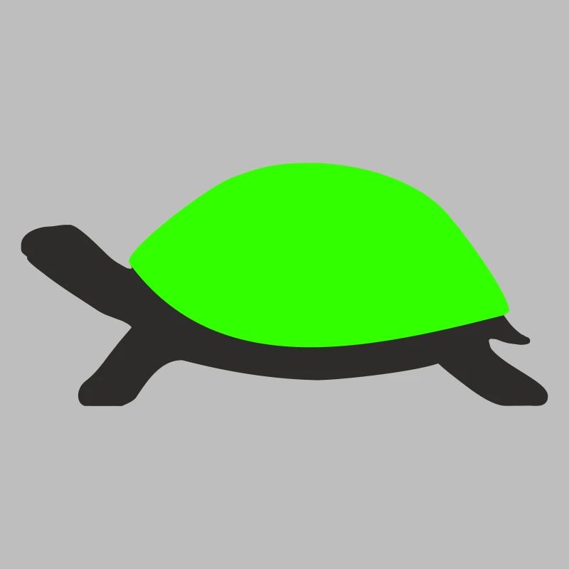 Tortue dessinée