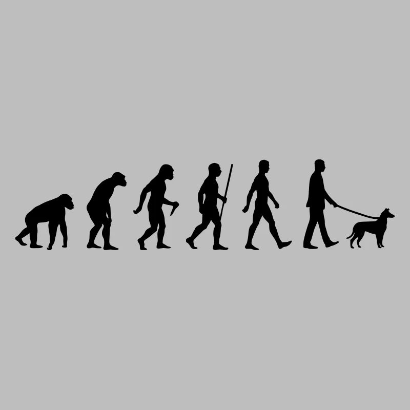 Evolution smooth collie man