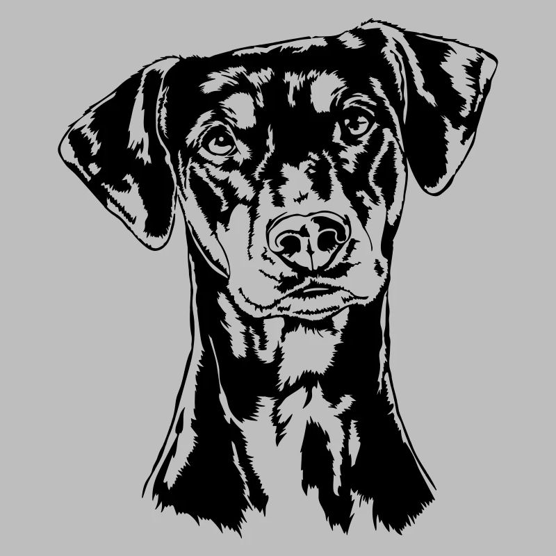 DEUTSCHER PINSCHER Hund Hunde Wilsigns