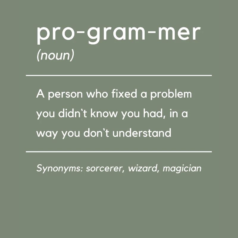 Programmer Definition Computer Developer Software