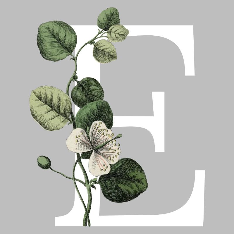 lettre e botanique vert