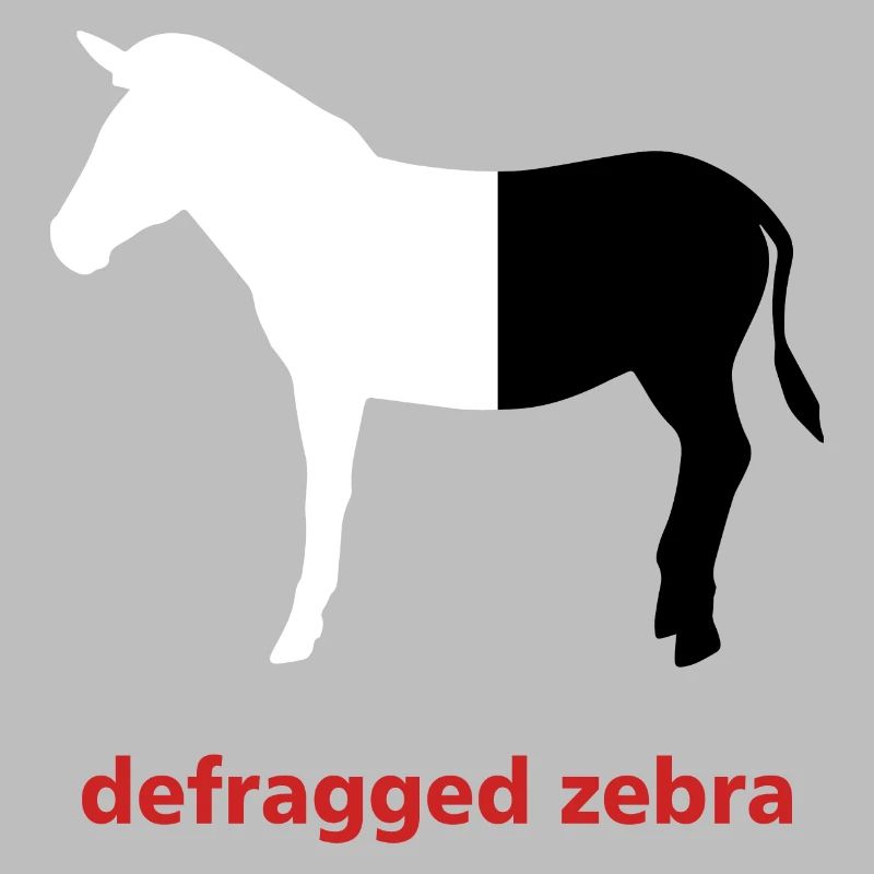Defragged zebra Informatik Programming Geschenk