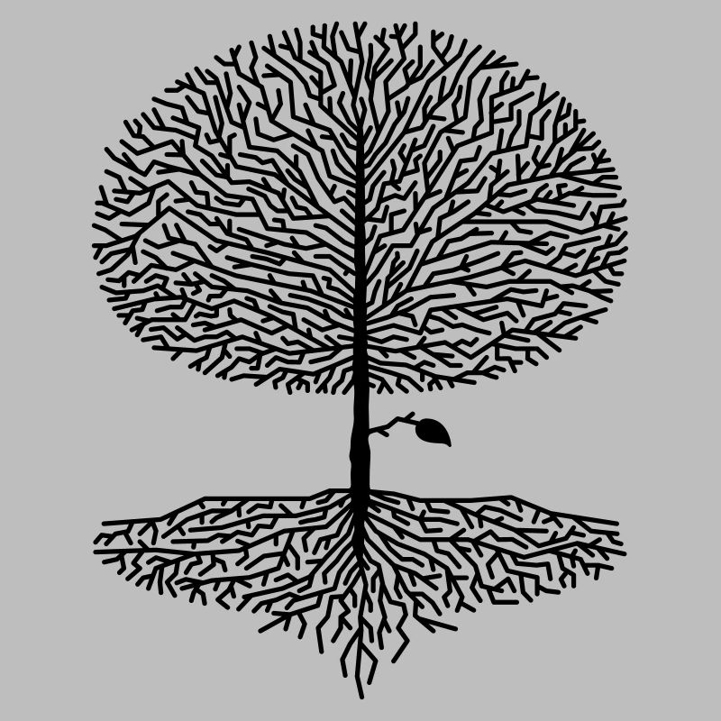 Deciduous Tree Crown Branches Forest Oaks Beech Nature Climate