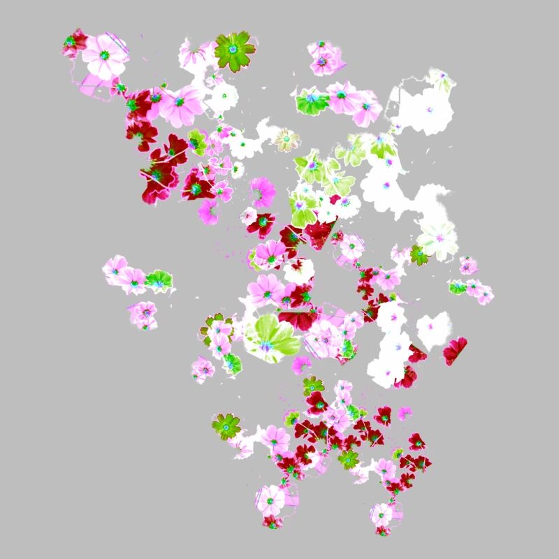 Pré, fleurs, fleurs, fleurs colorées