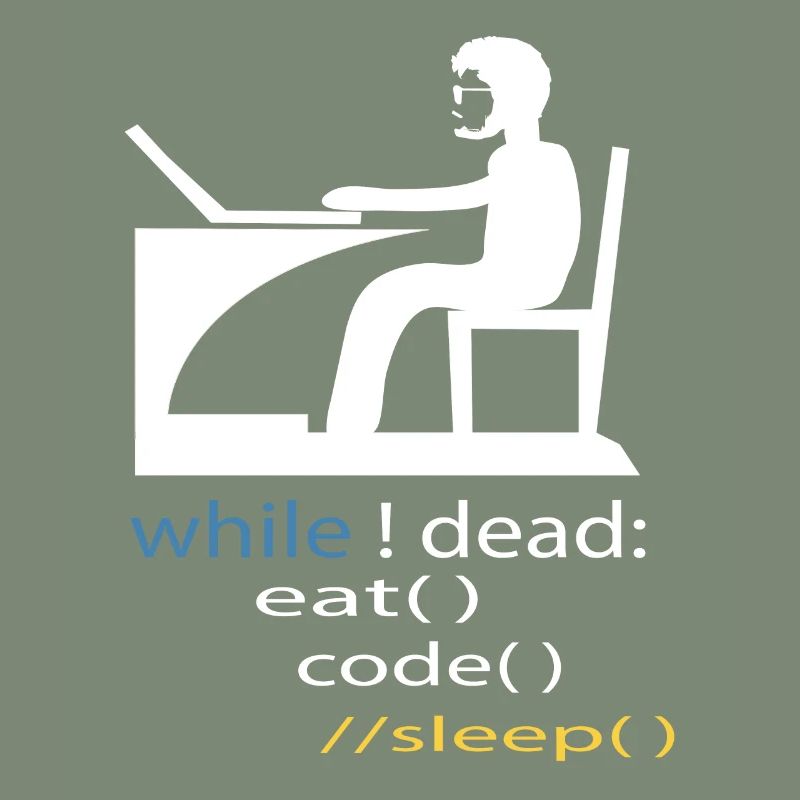 Software Developer Programmer Gift