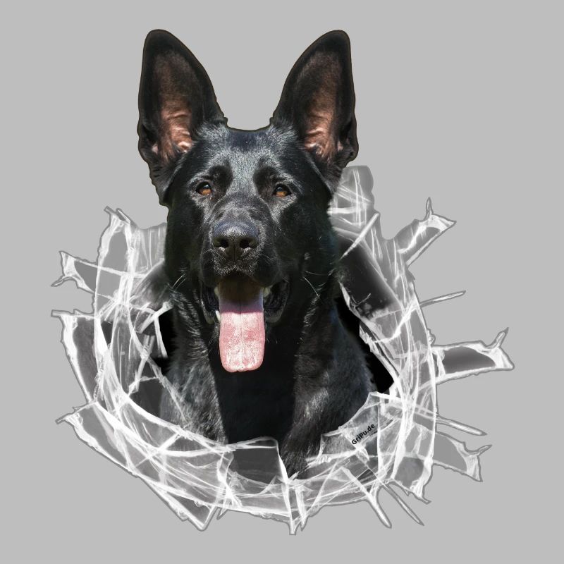 Schwarzer Schäferhund im Glas Loch