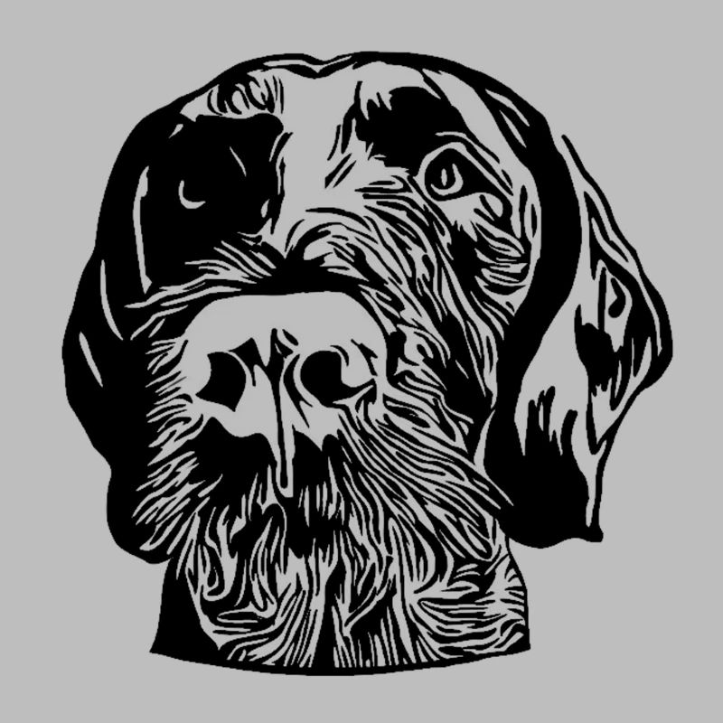 German Wirehaired Pointer
