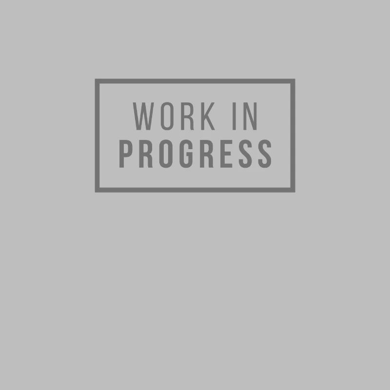 Work in Progress