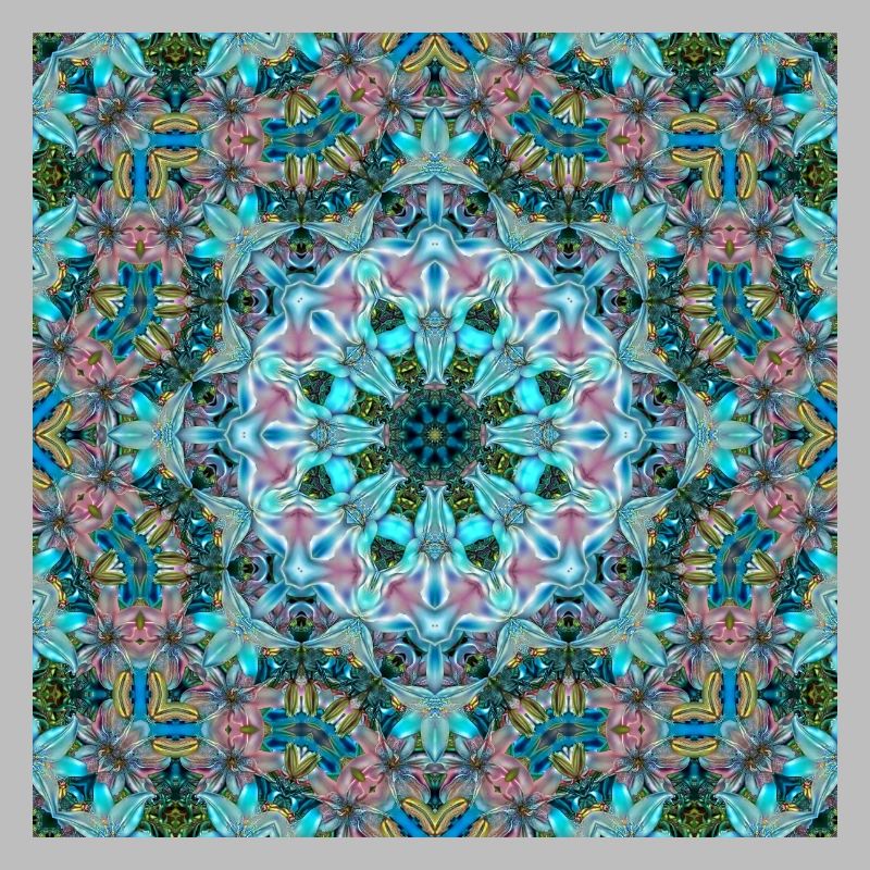 KALEIDOSCOPE LYS ABSTRAITS 2 FLEURS 2