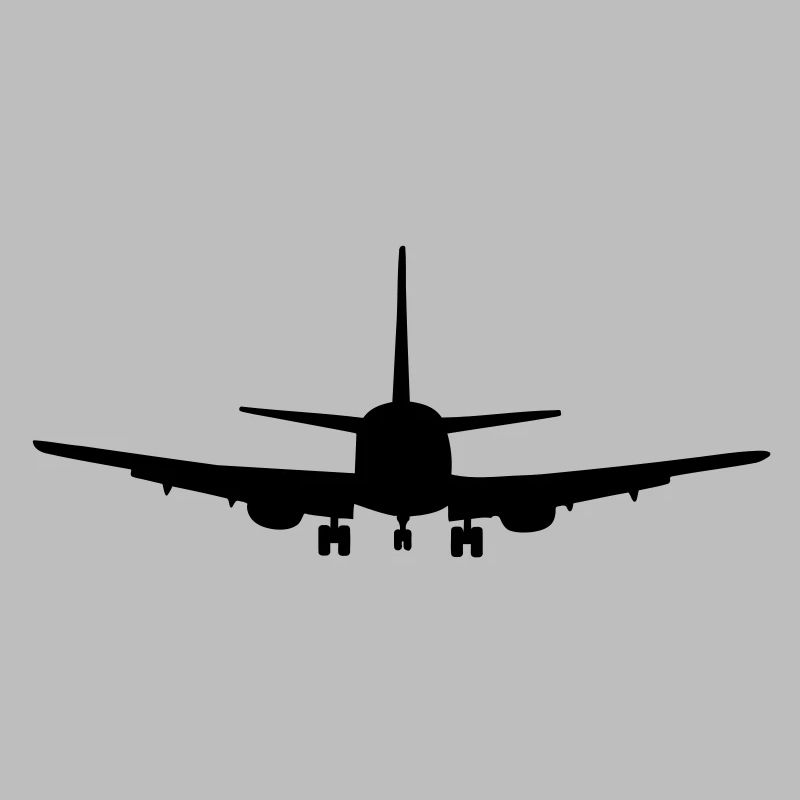 Flugzeug