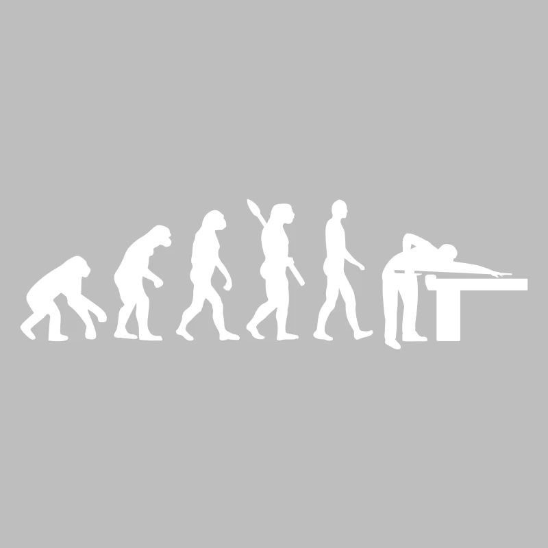 Evolution Billard