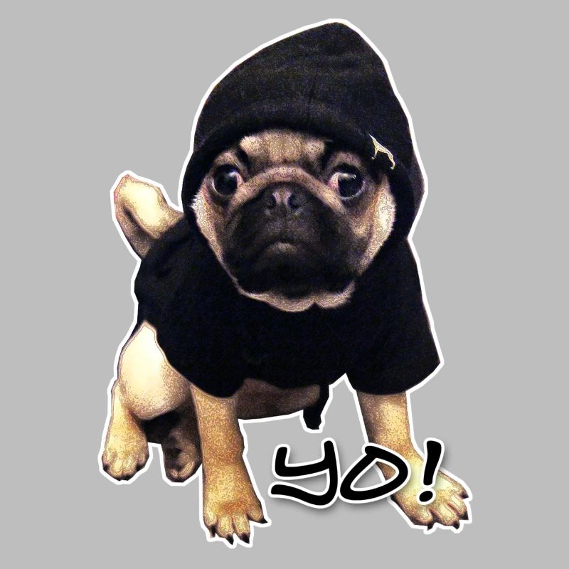 yo_mops_3