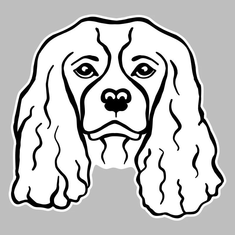 Cavalier King Charles