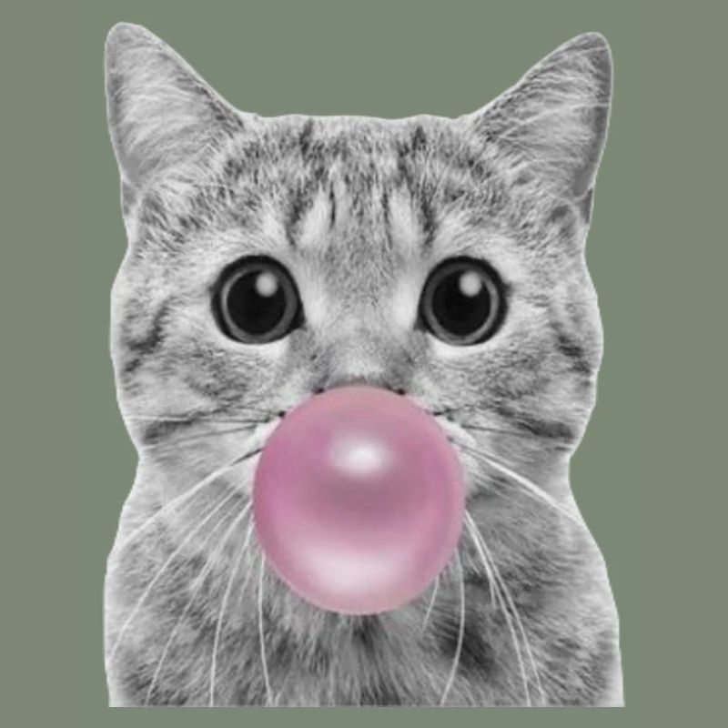 Bubble Katze
