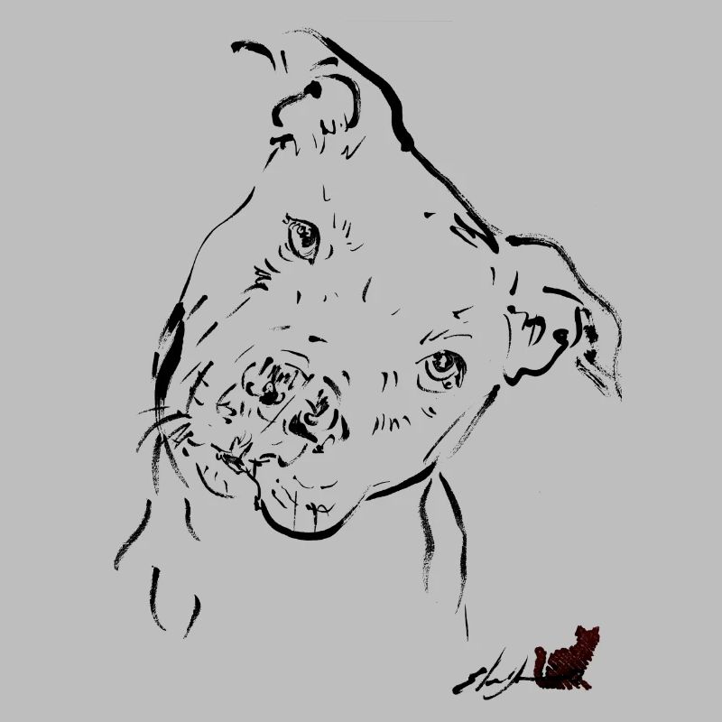 Schwarzer Pitbull