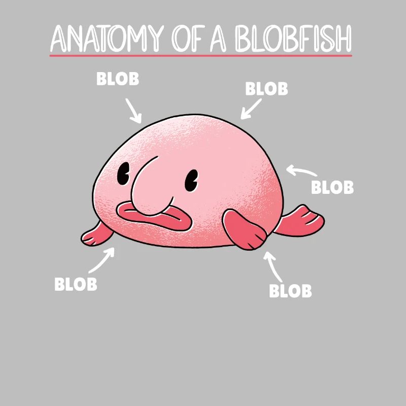 Blobfish Explication Anatomie d’un Blobfish