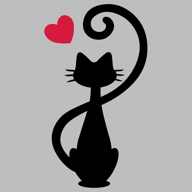 Chat - chat dame - chat - chat - minou