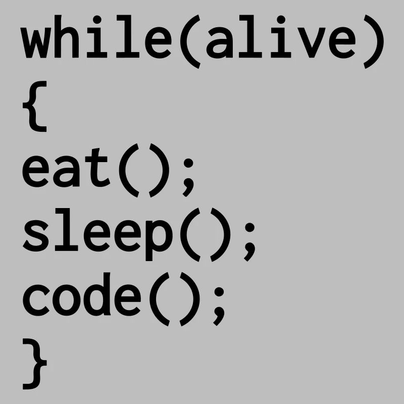 Entwickler / Informatiker / Programmierer /