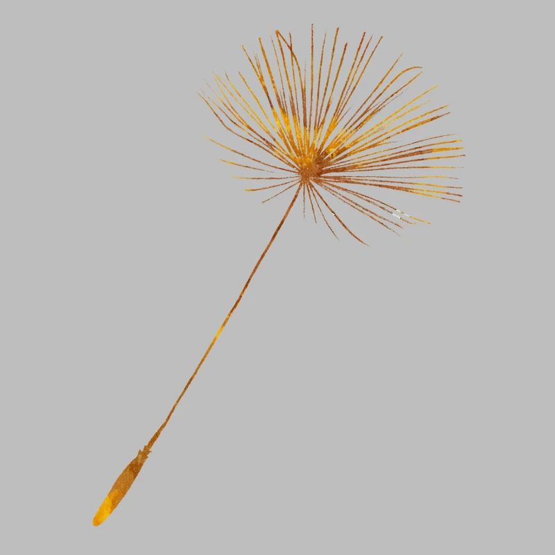 Dandelion Seed + Löwenzahn Same
