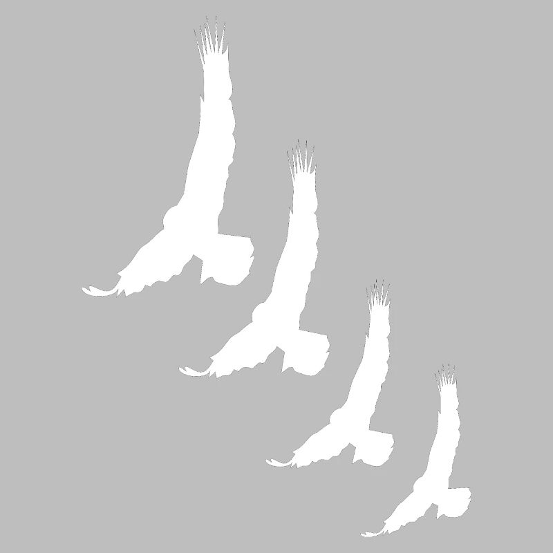 Oiseaux Oiseaux Oiseaux Oiseaux Oiseau