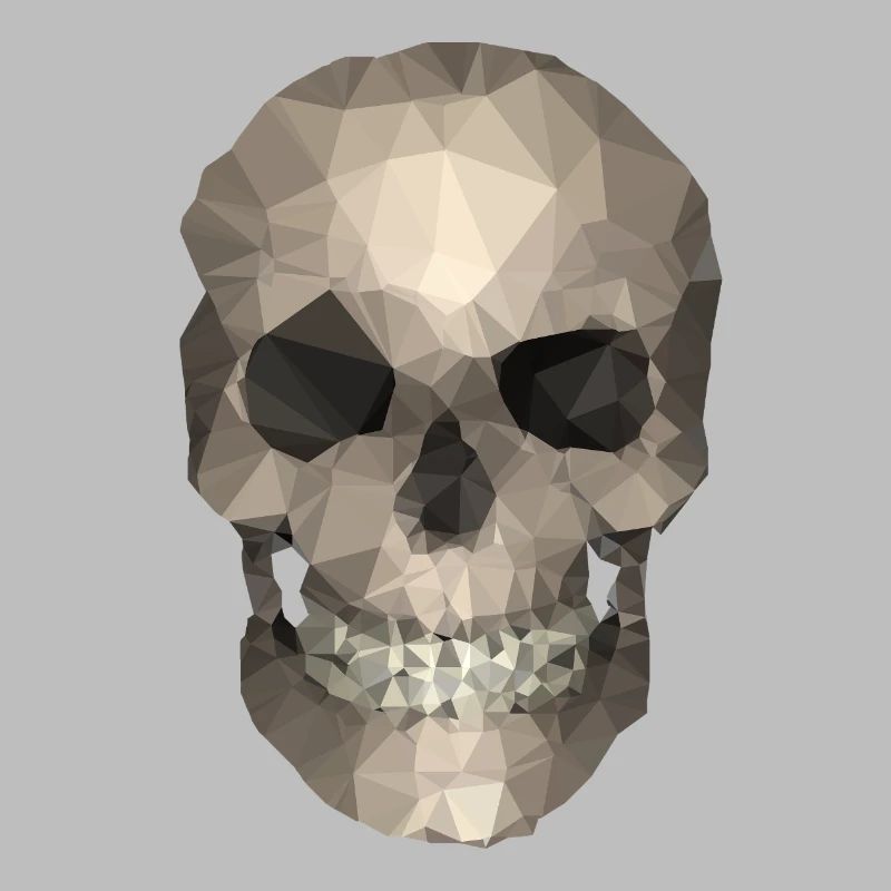Polygon Geometrischer Schädel – Moderner Low Poly