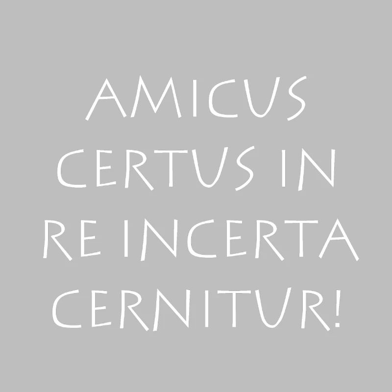 Amicus certus in re incerta cernitur