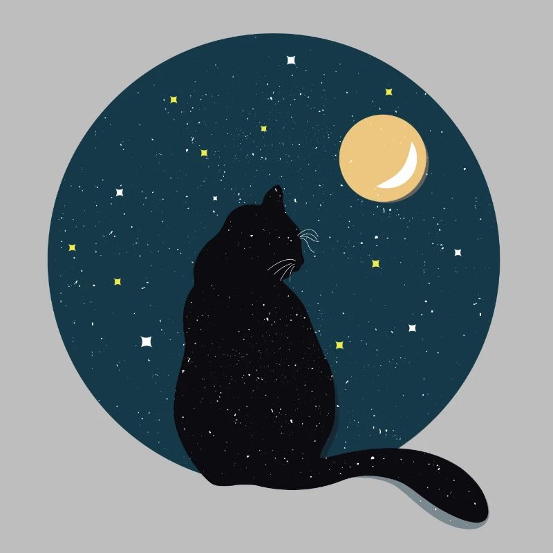 Chat noir devant la lune.