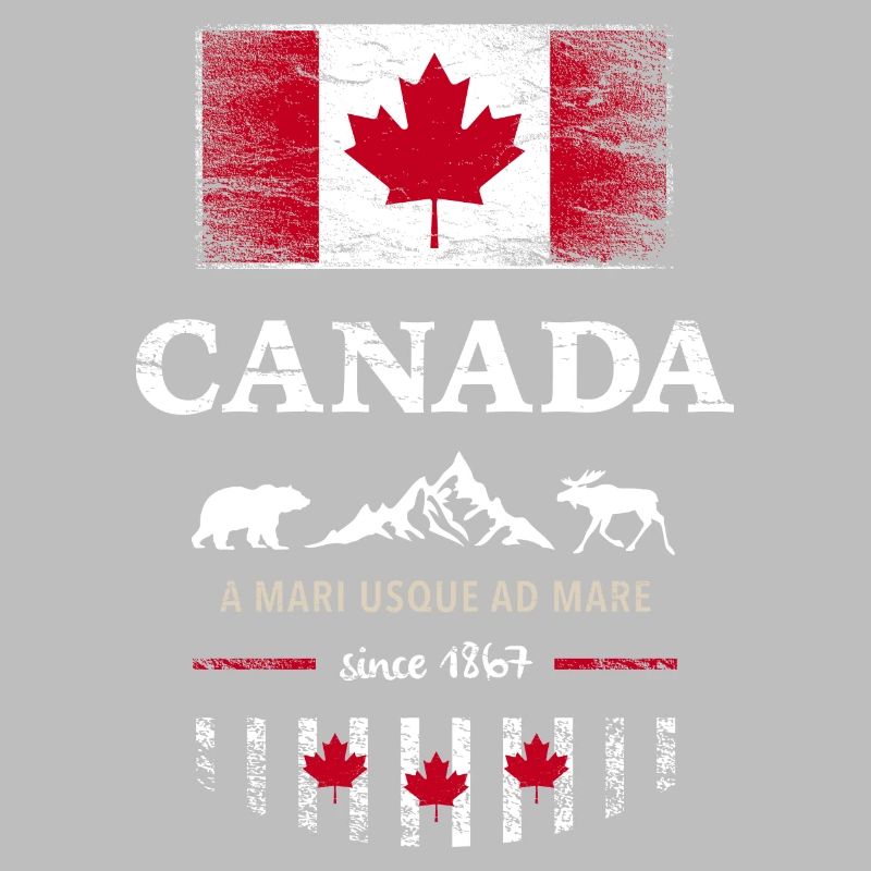 Canada Canada Amérique drapeau feuille d’érable drapeau ours