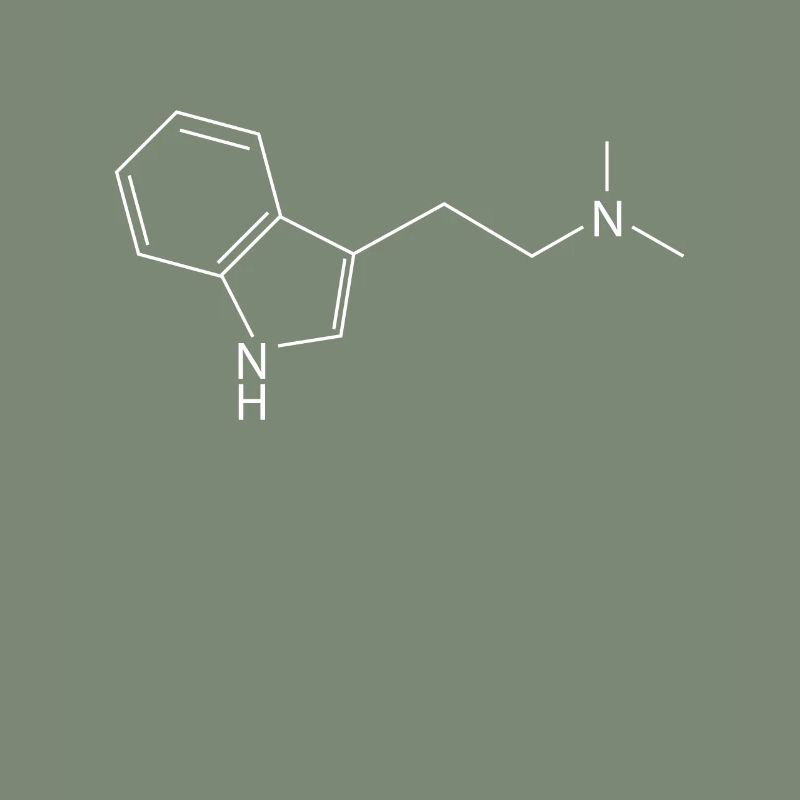 DMT molecule Ayahuasca Dimethyltryptamine