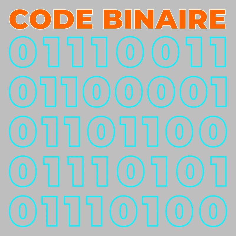 Code binaire
