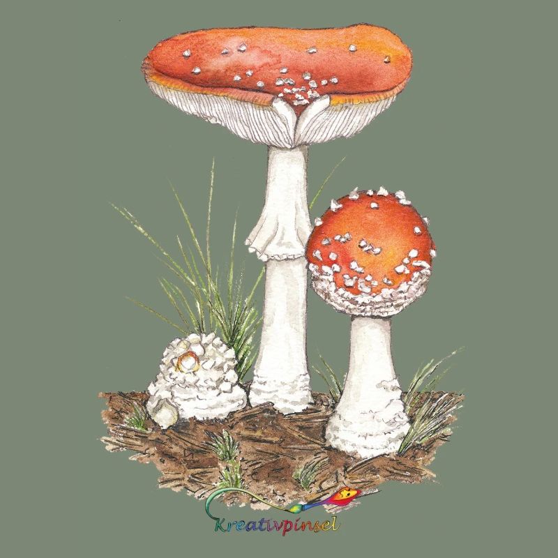 Toadstool