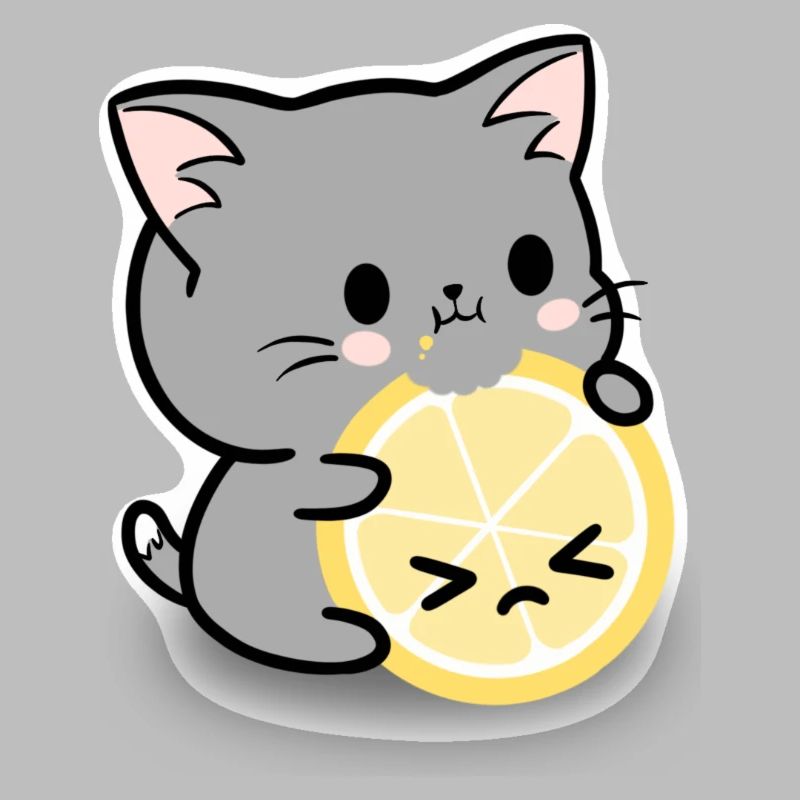 Chat citron